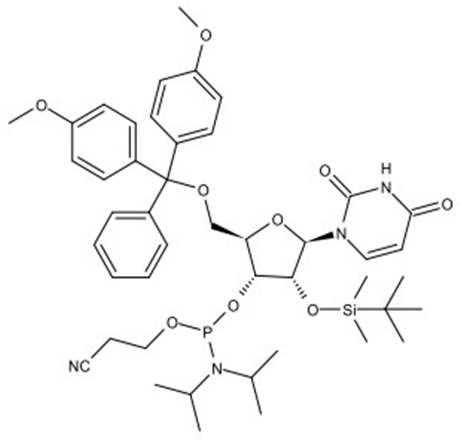 rU亚磷酰胺单体