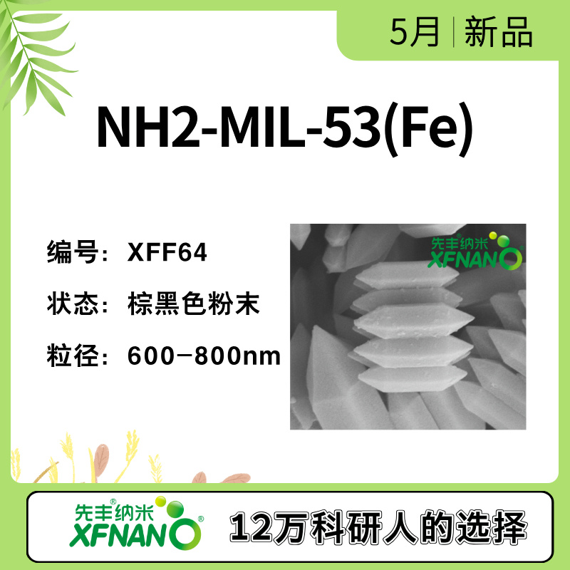 01-XFF64.jpg