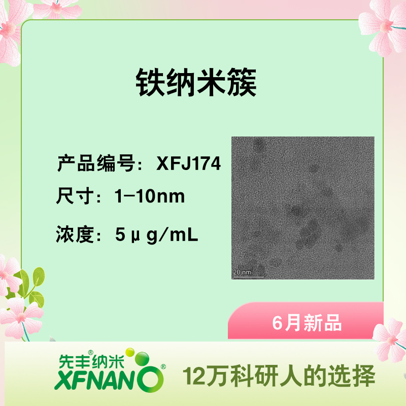 铁纳米簇.jpg