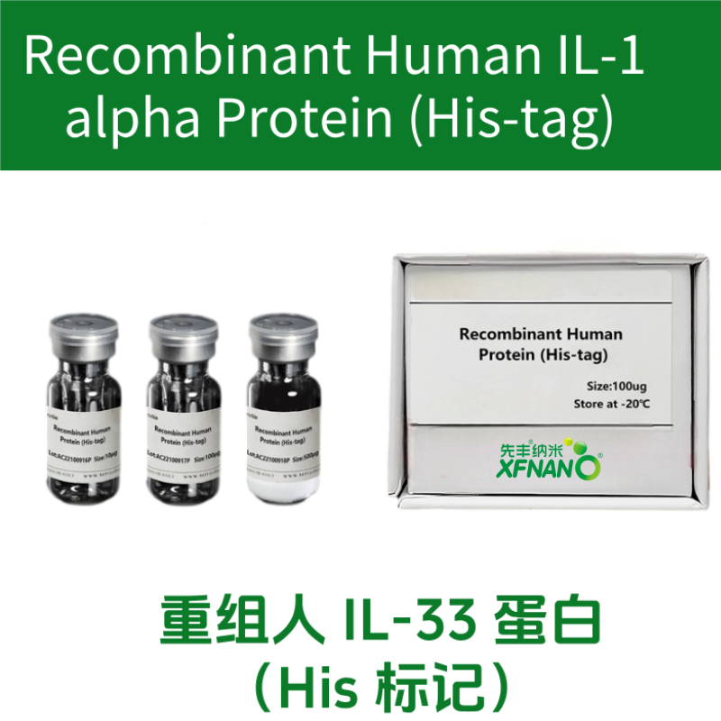 重组人 IL-1 alpha 蛋白（His 标记）
