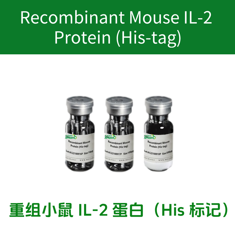 重组小鼠IL-2蛋白（His 标记）