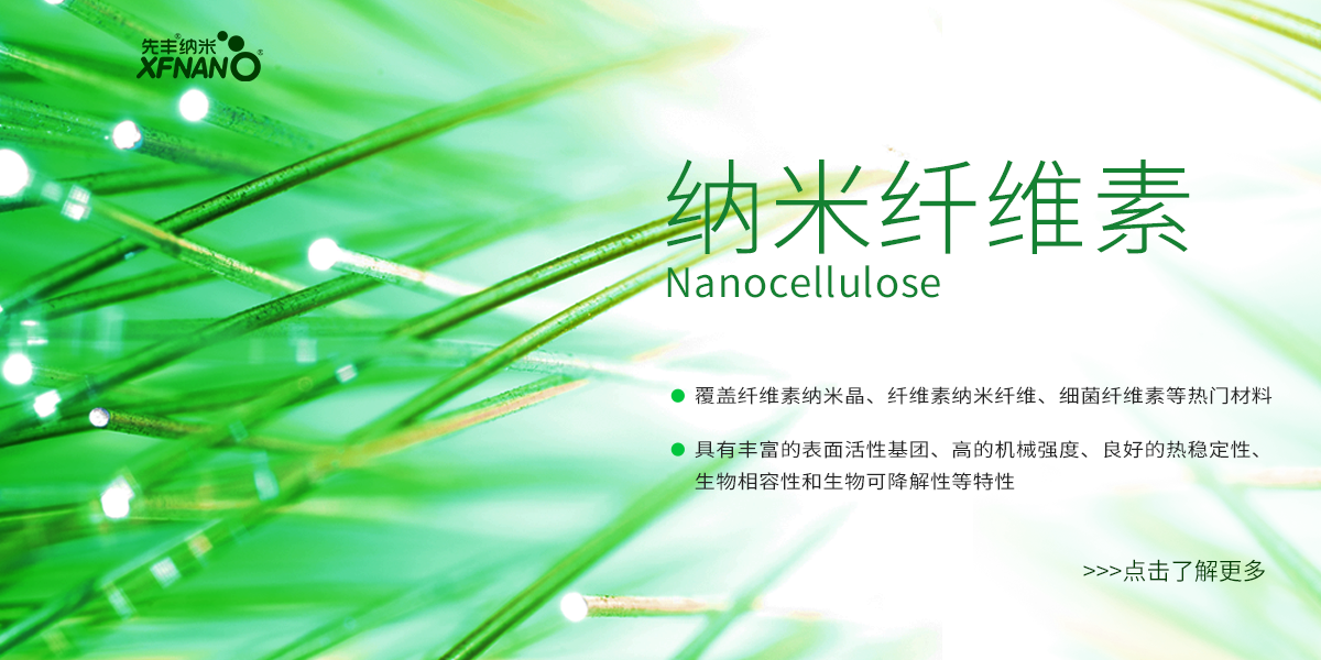 先丰纳米