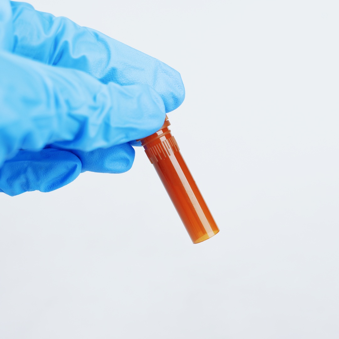 Cy3标记山羊抗兔IgG