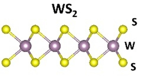CVD氧化铝基底单层二硫化钨