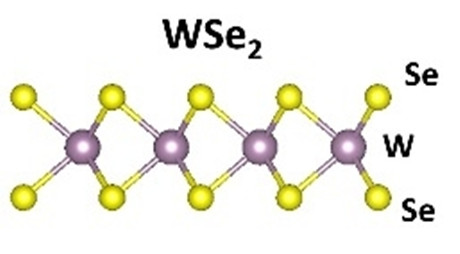 CVD氧化硅/硅基底单层二硒化钨