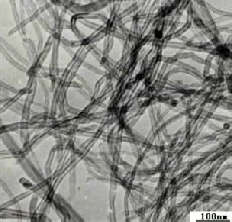 Nanointegris多壁碳纳米管粉末